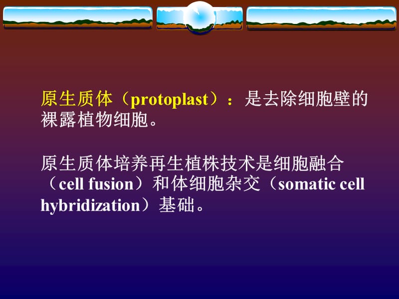 第十章植物原生质体培养和细胞融合.ppt_第3页