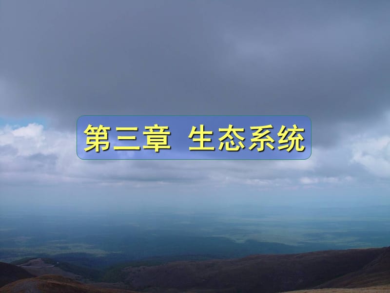 第三章：生态系统.ppt_第1页