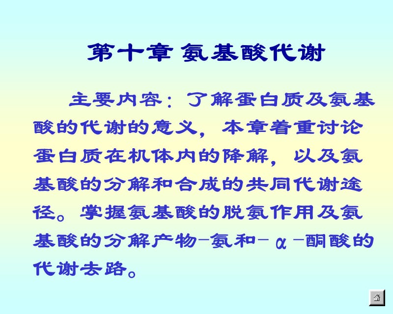 第十章 氨基酸 代谢.ppt_第1页