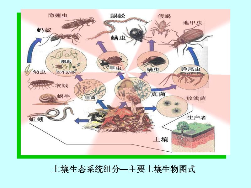 第四章土壤物质组成-2土壤与土壤资源学.ppt_第2页