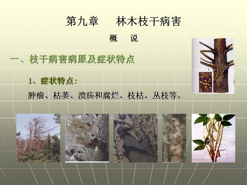 第九章枝干病害.ppt_第1页