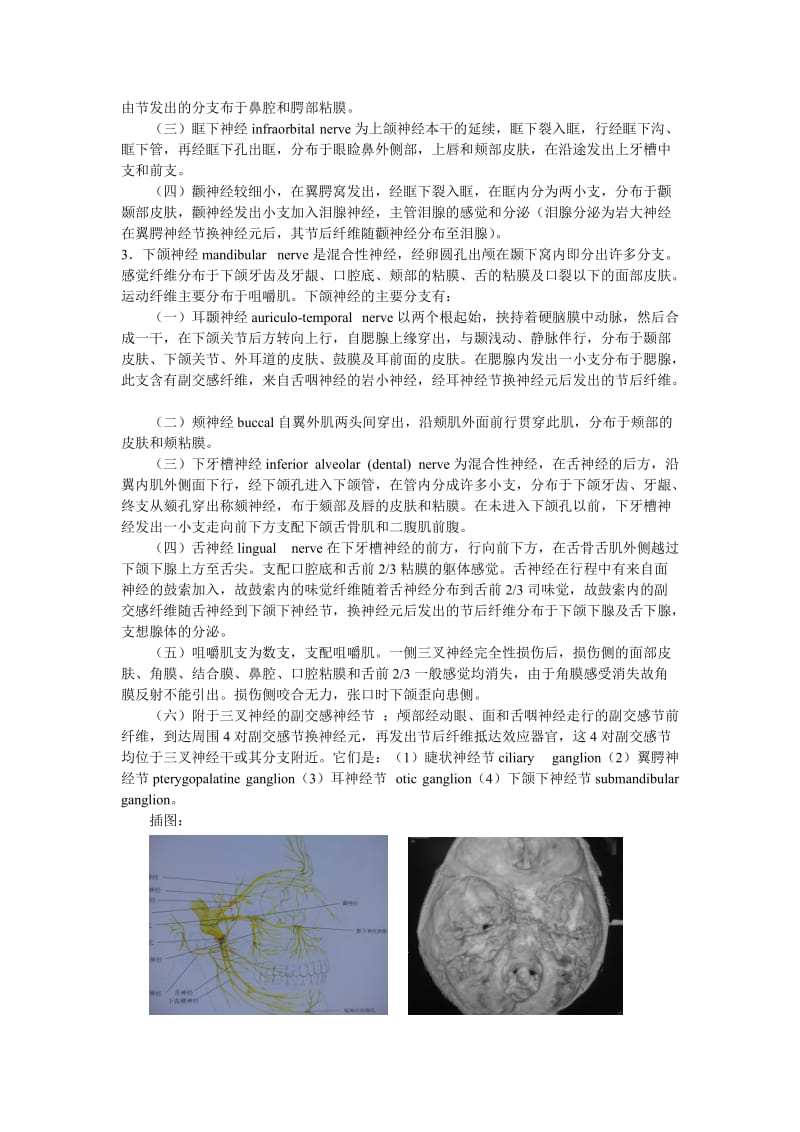 蒋劲-三叉神经痛的射频治疗.doc_第2页