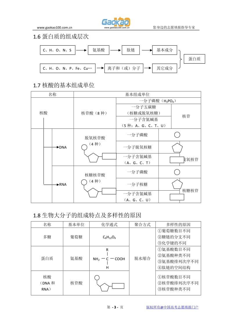 2012届高三一轮复习生物知识结构网络图.doc_第3页