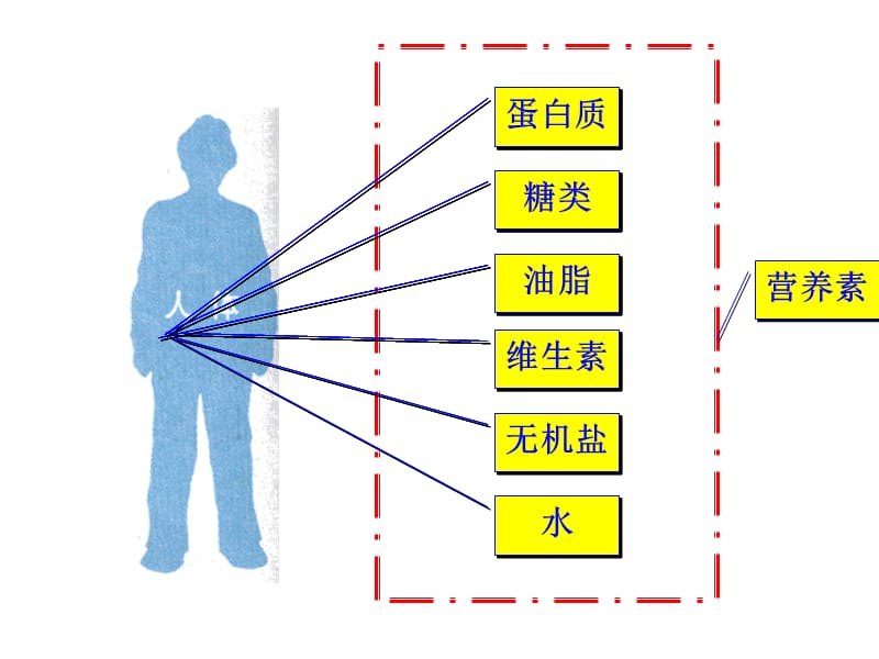 《人类重要的营养物质》课件.ppt_第3页