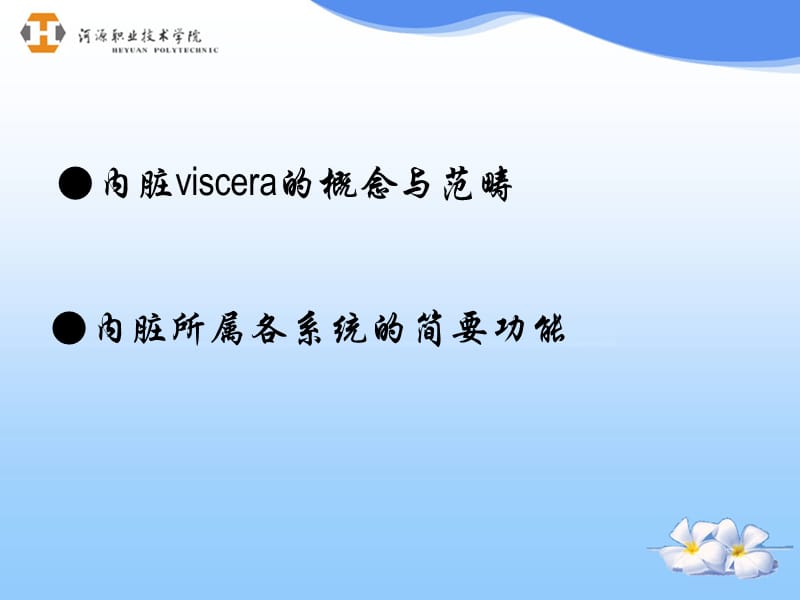 第四章内脏学.ppt_第2页