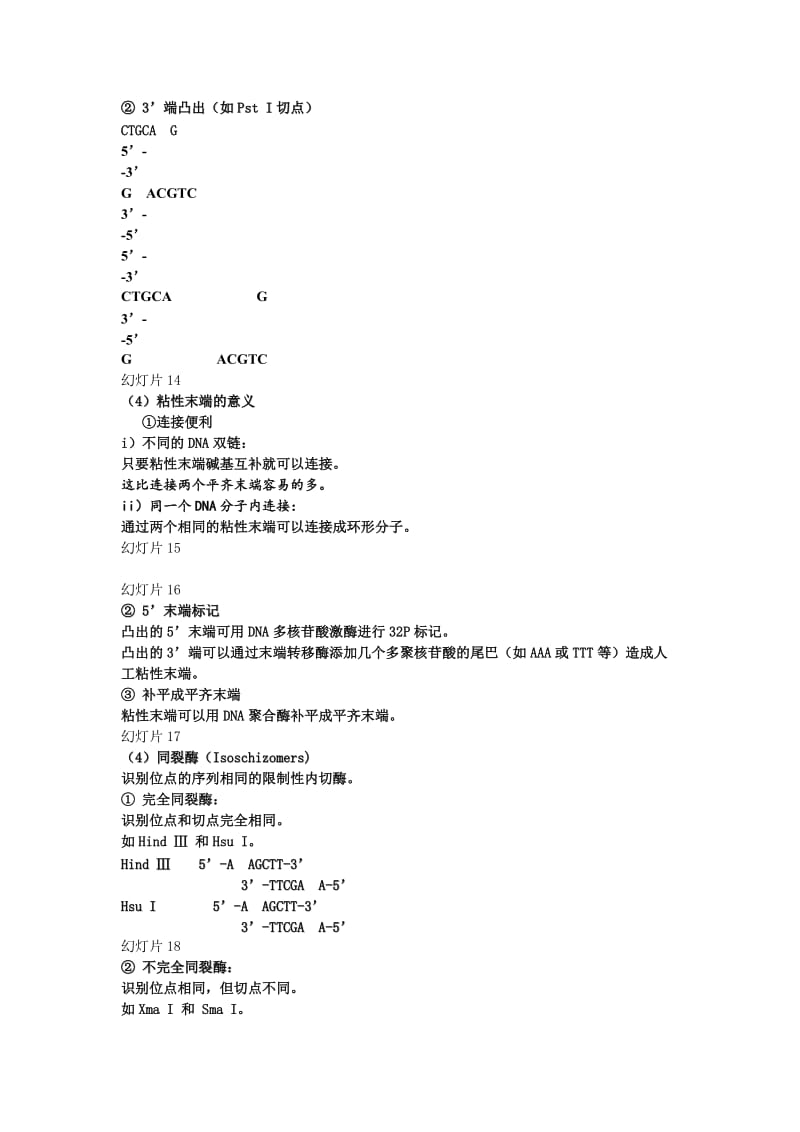 第二章基因工程的酶学基础.doc_第3页