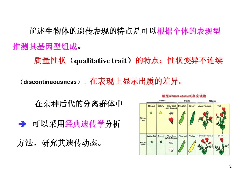 第九章数量性状遗传.ppt_第2页