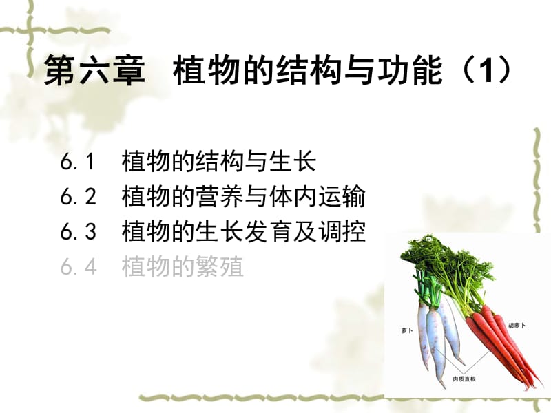 第六章植物的结构与功能1.ppt_第1页