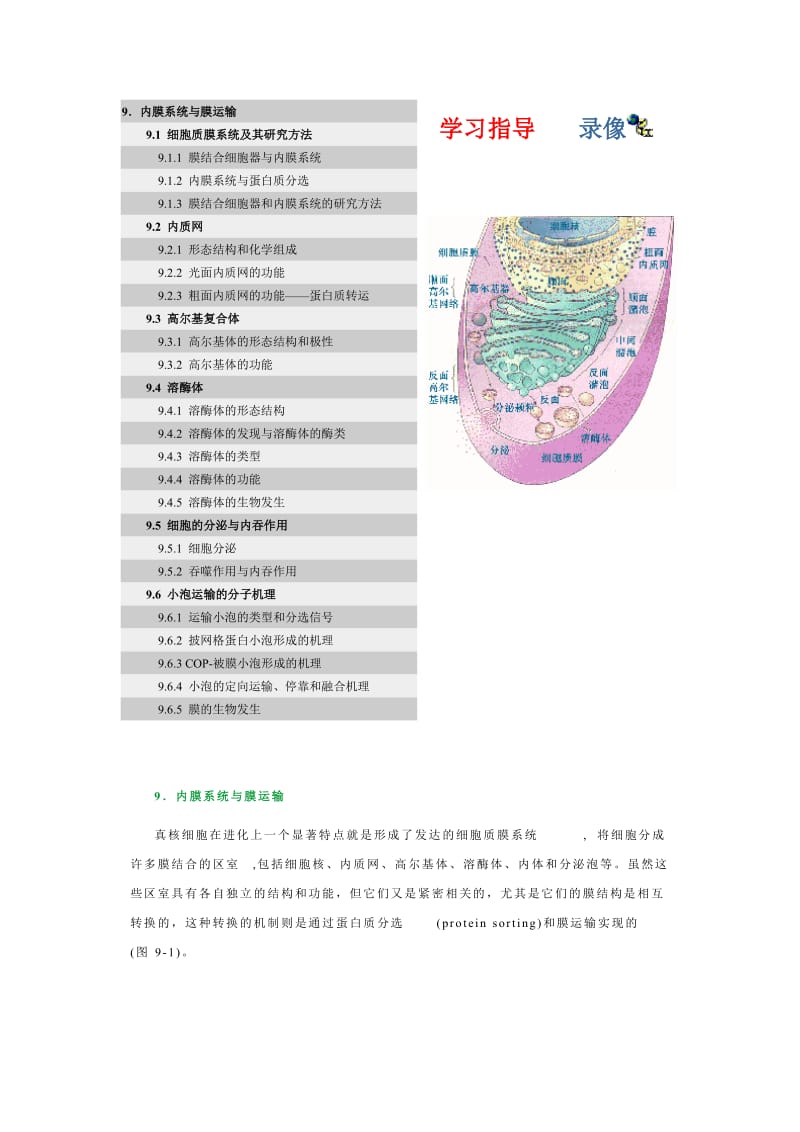 9内膜系统与膜运输.doc_第1页