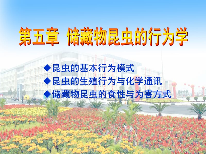 第五章,储藏物昆虫的行为学.ppt_第1页