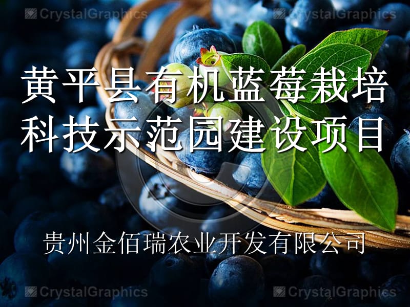 标准示范园答辩.ppt_第1页