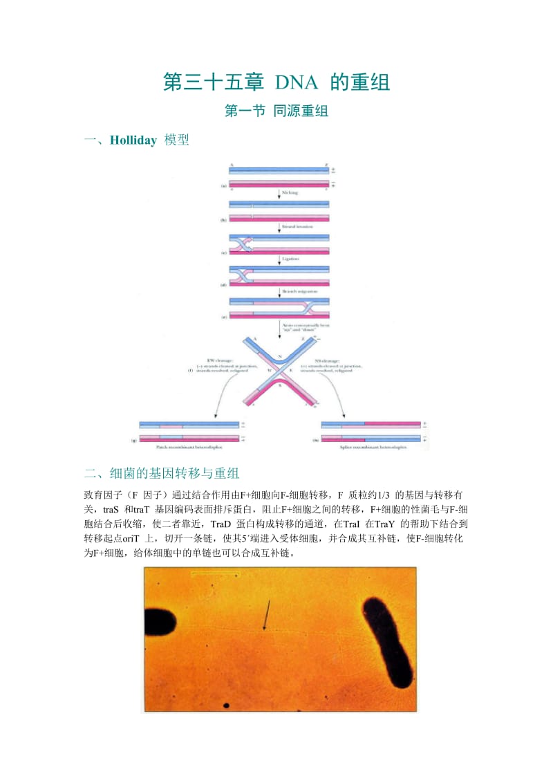 第35章DNA的重组.doc_第1页