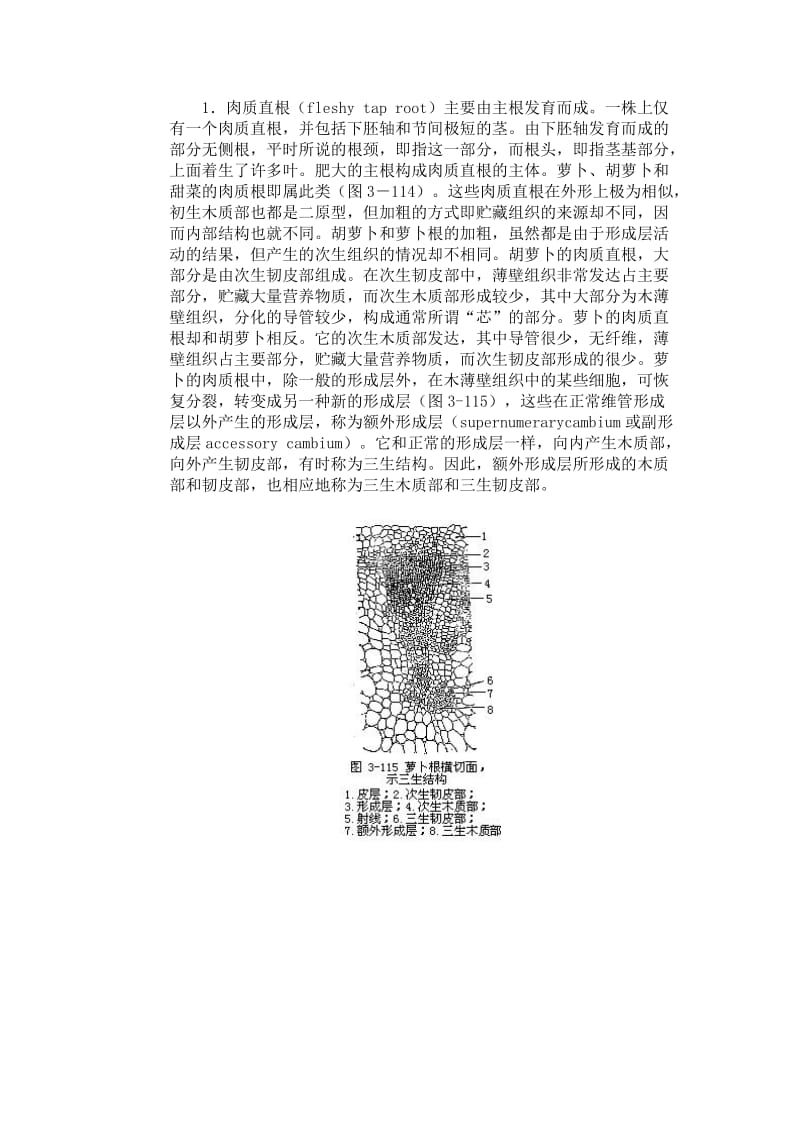 35第五节营养器官的变态.doc_第2页