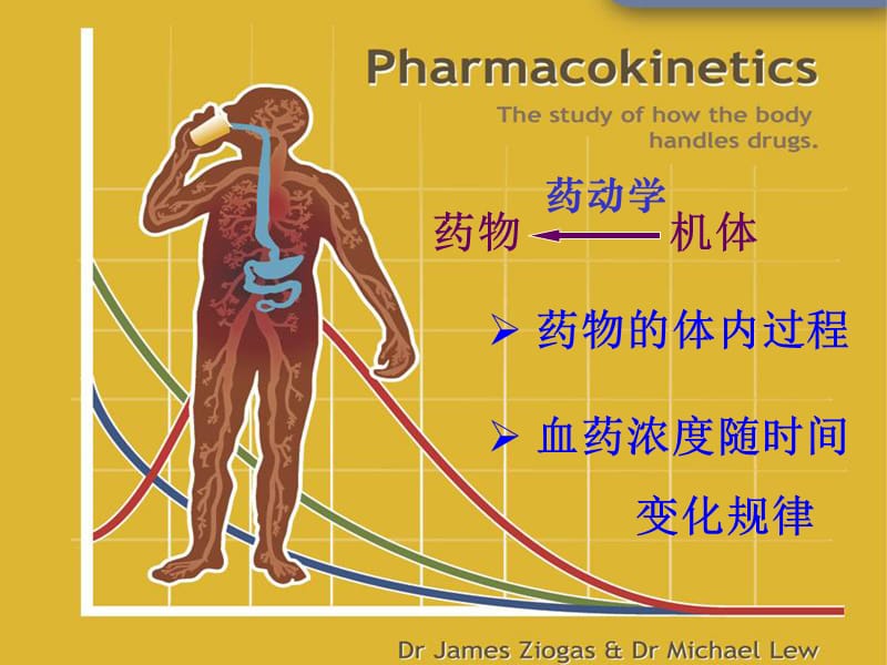 第二章药动学.ppt_第3页