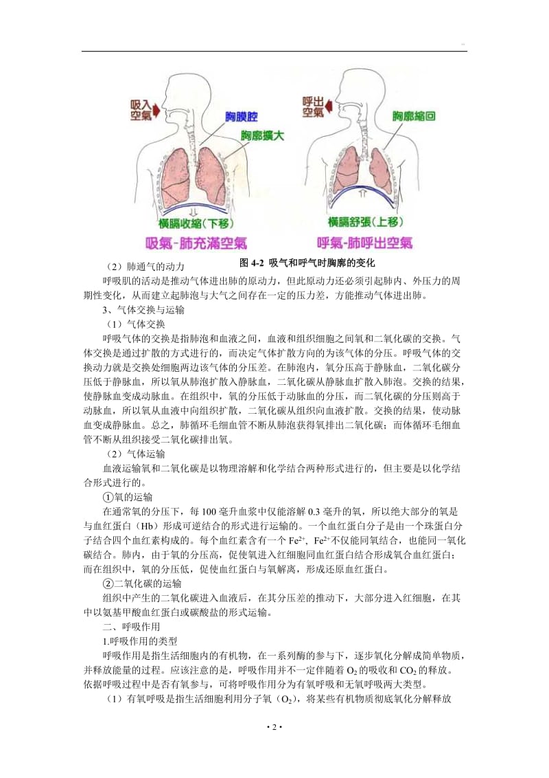 高中生物奥林匹克竞赛辅导专题讲座_专题四_呼吸作用.doc_第2页