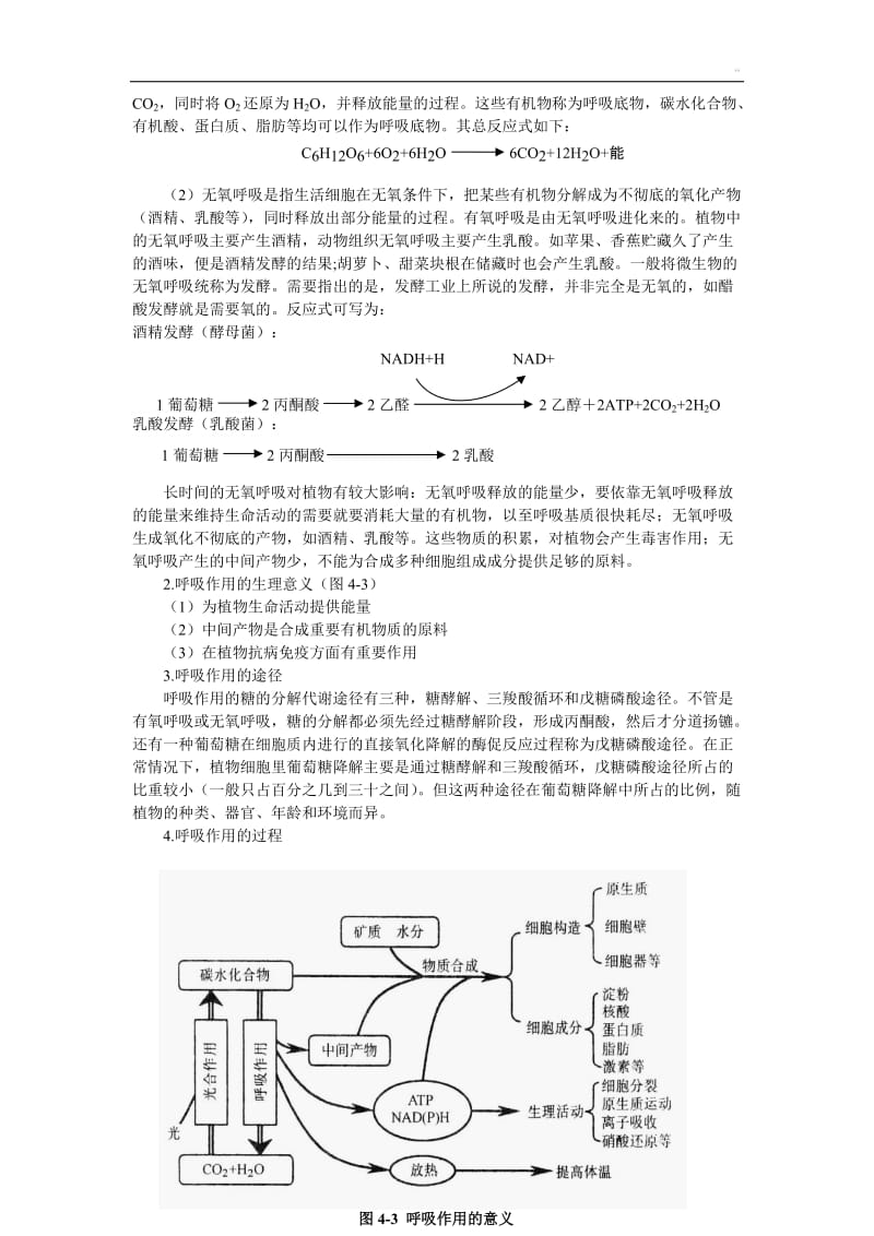 高中生物奥林匹克竞赛辅导专题讲座_专题四_呼吸作用.doc_第3页