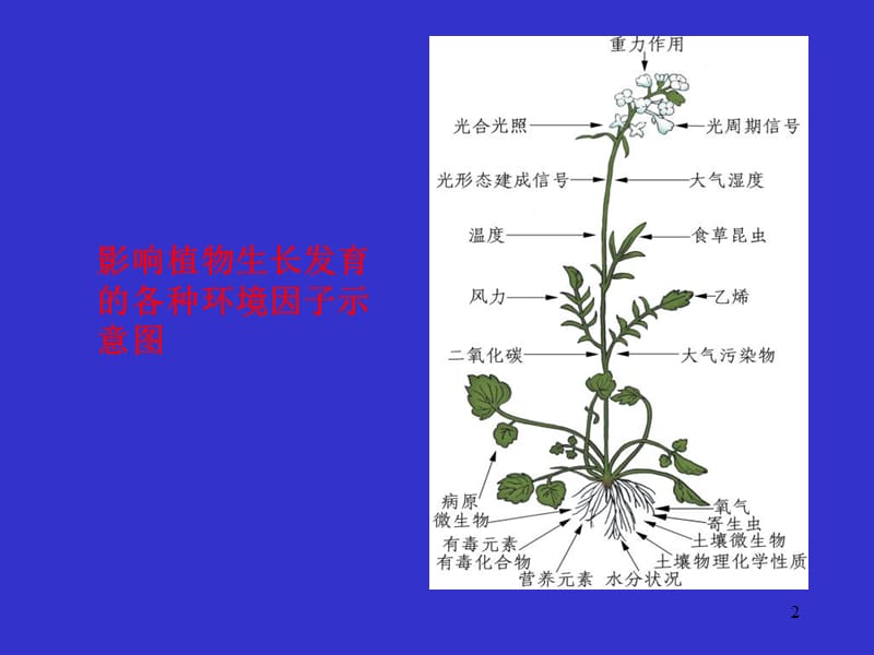 第十二章逆境生理.ppt_第2页