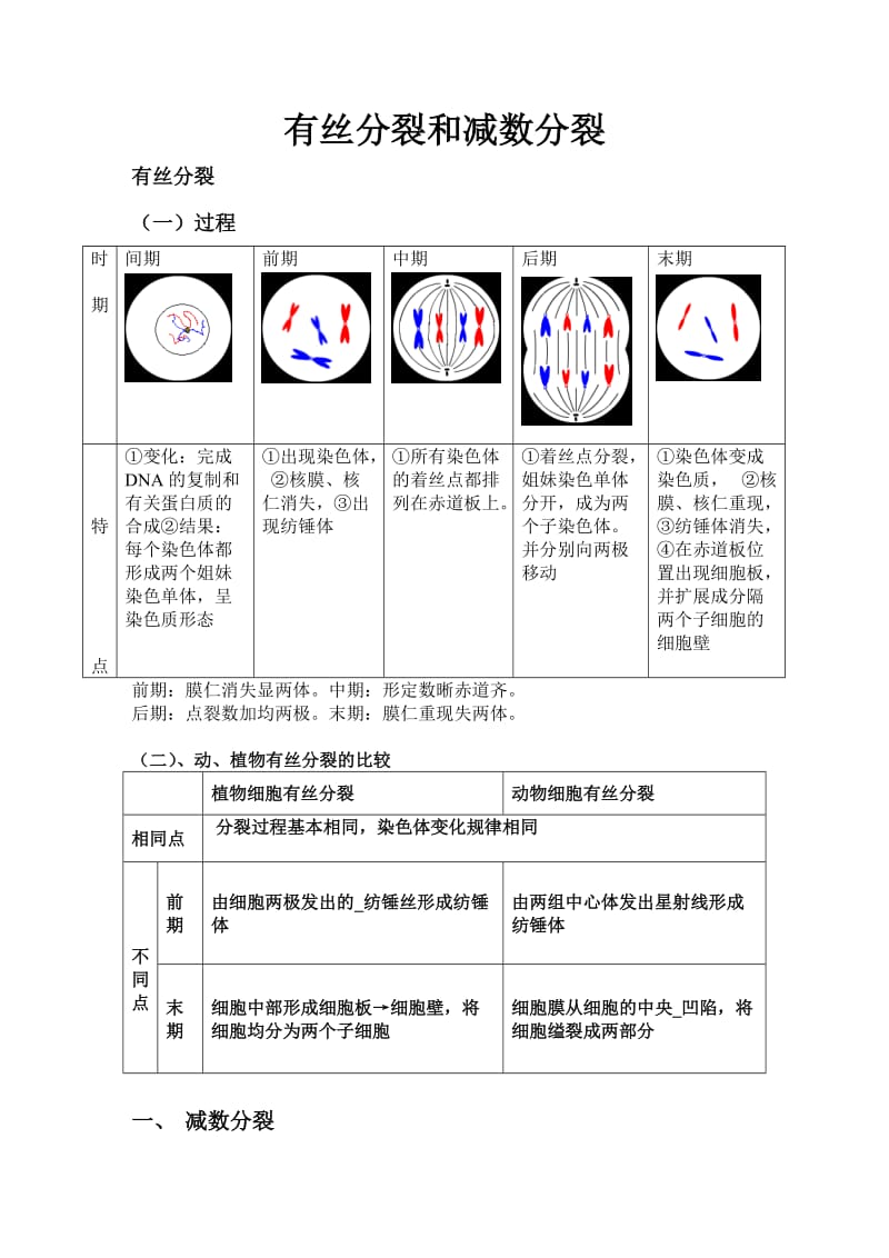 高中生物必修二有丝分裂减数分裂详尽分析.doc_第1页