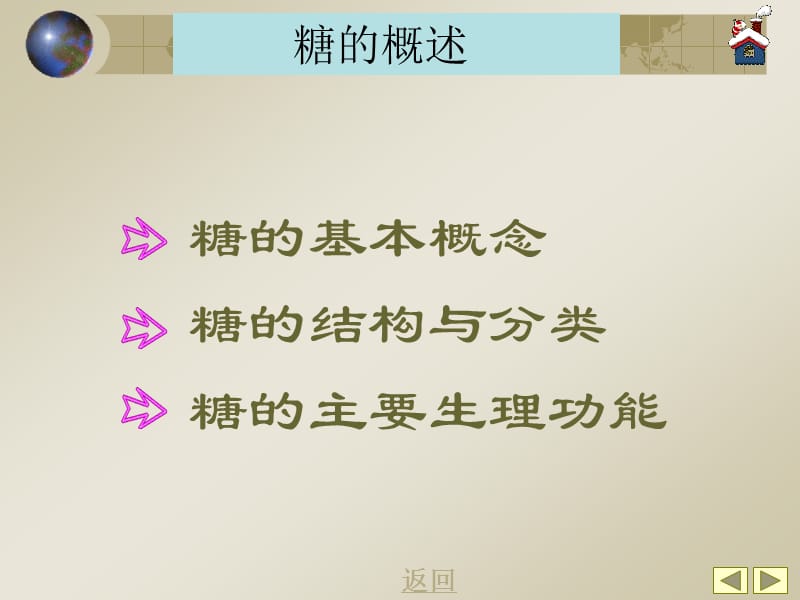 第八章 糖代谢.ppt_第2页