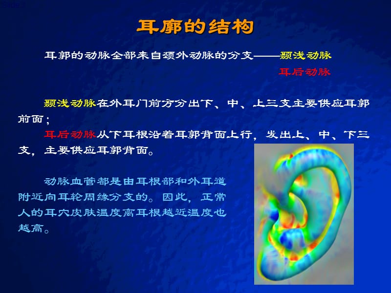 耳穴快速记忆法定位法及各种操作方法.ppt_第3页