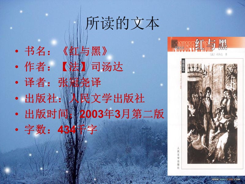 《红与黑》教学课件.ppt_第2页