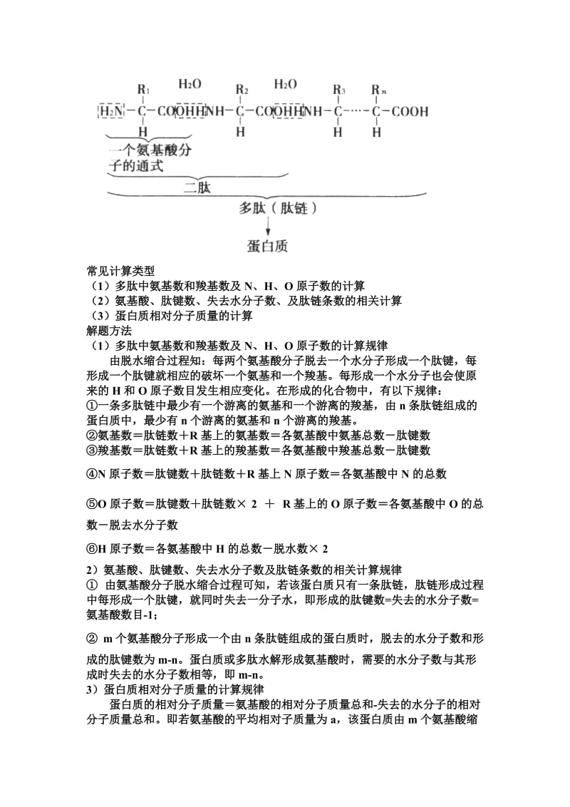 蛋白质的相关计算.doc_第3页