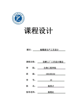 链霉素生产工艺设计说明书-模板.doc