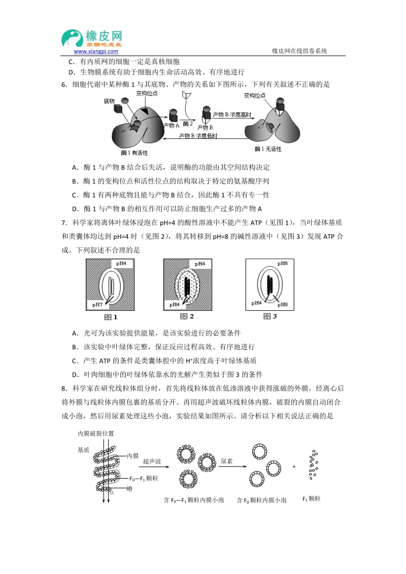 湖南省衡阳八中2015届高三上学期第四次月考生物试题.doc_第2页