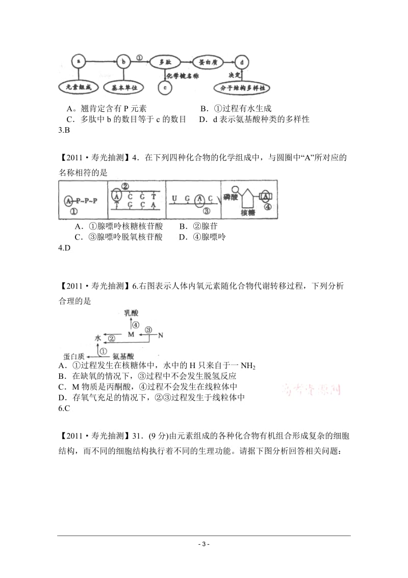 蛋白质专项练习带答案.doc_第3页