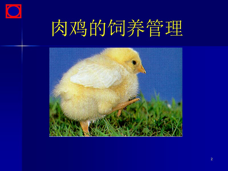 肉鸡饲养与管理.ppt_第2页