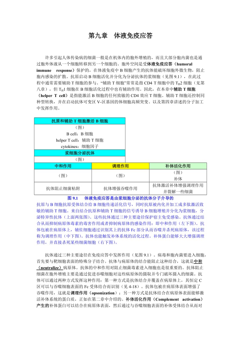 9体液免疫应答.doc_第1页