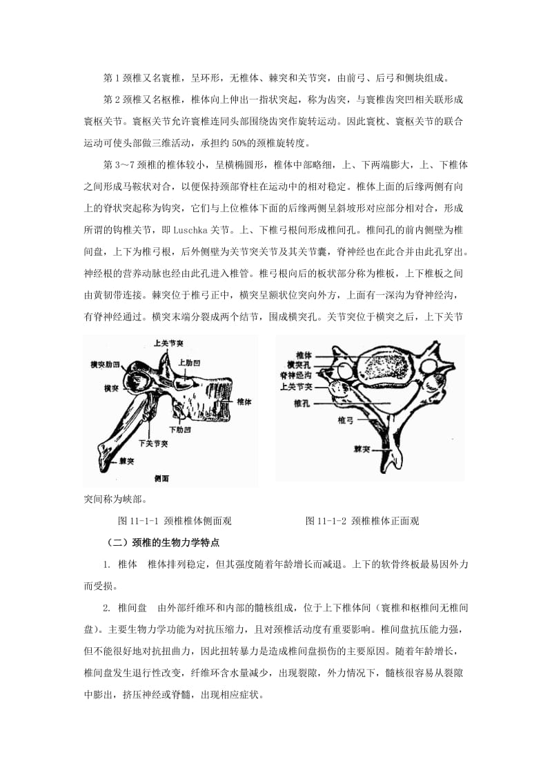 颈椎病的康复.doc_第2页