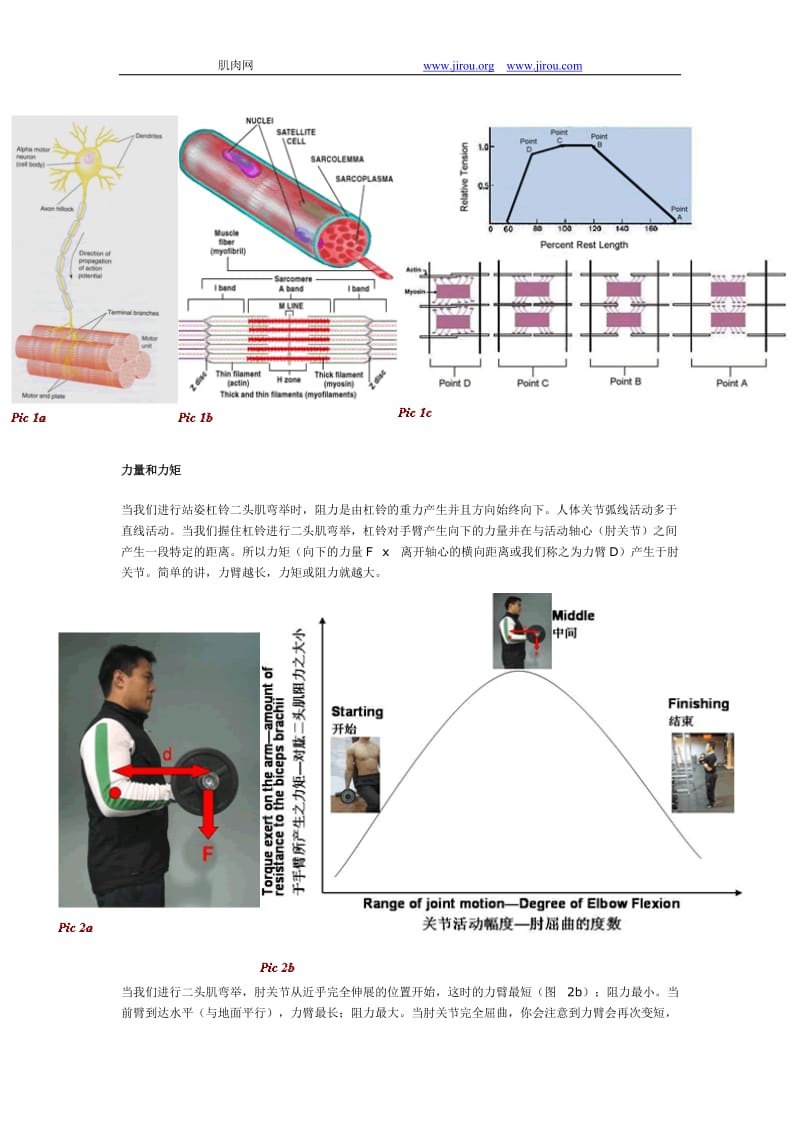 顶峰收缩.doc_第2页