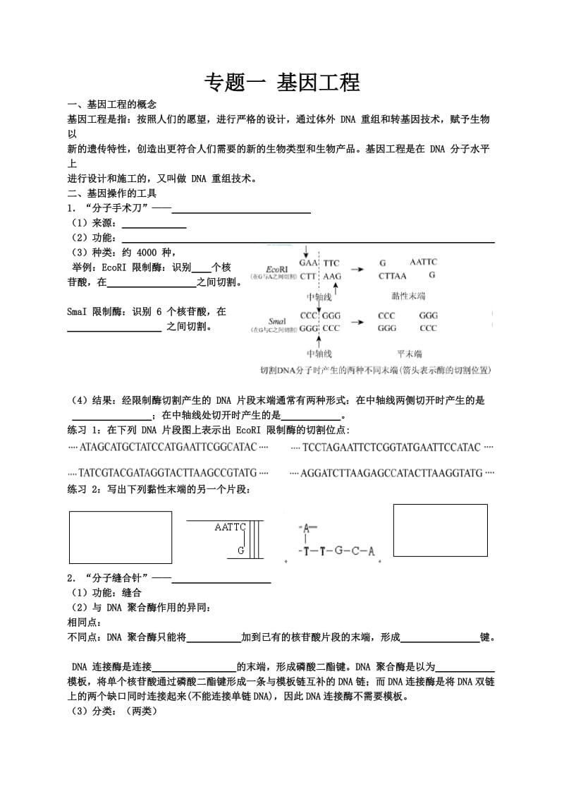 马培梅生物一轮复习讲义选修3.doc_第1页