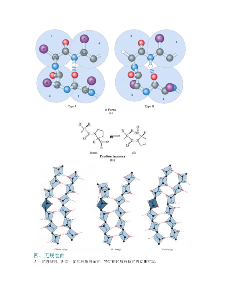 第5章蛋白质的三维结构2.doc_第2页
