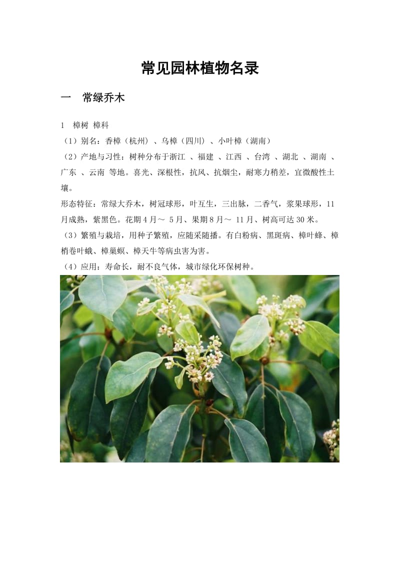 常见校园植物名录附图片.doc_第1页