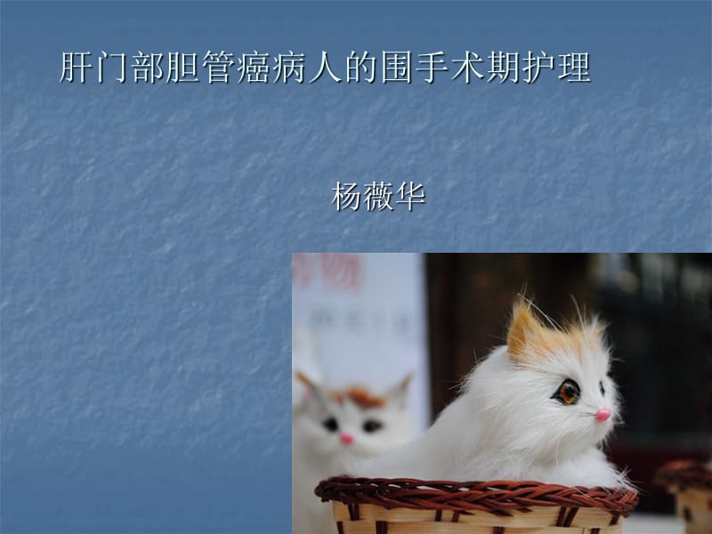 肝门胆管癌病人的围手术期护理2.ppt_第1页