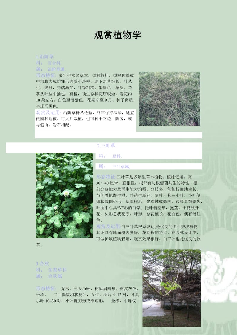 观赏植物学图文并茂.doc_第1页