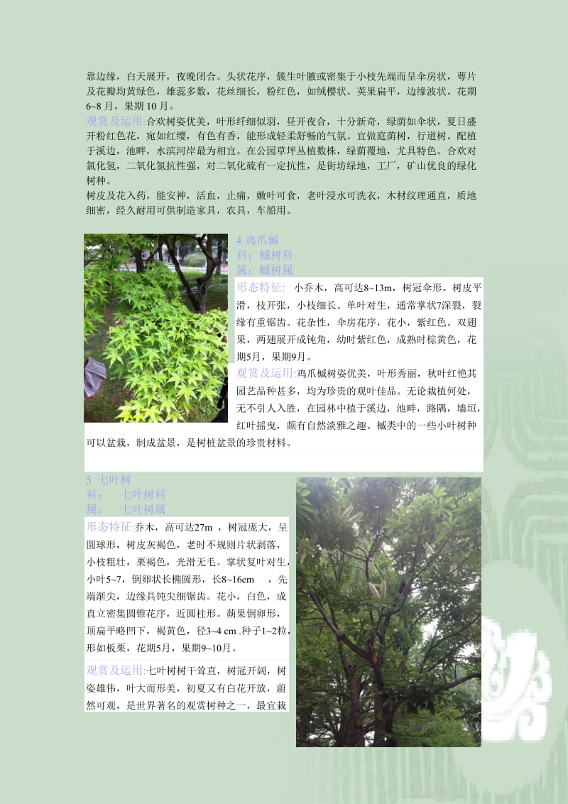 观赏植物学图文并茂.doc_第2页