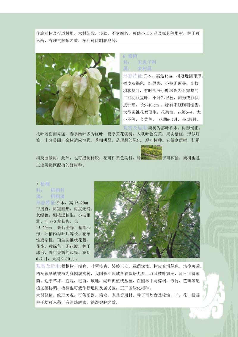 观赏植物学图文并茂.doc_第3页