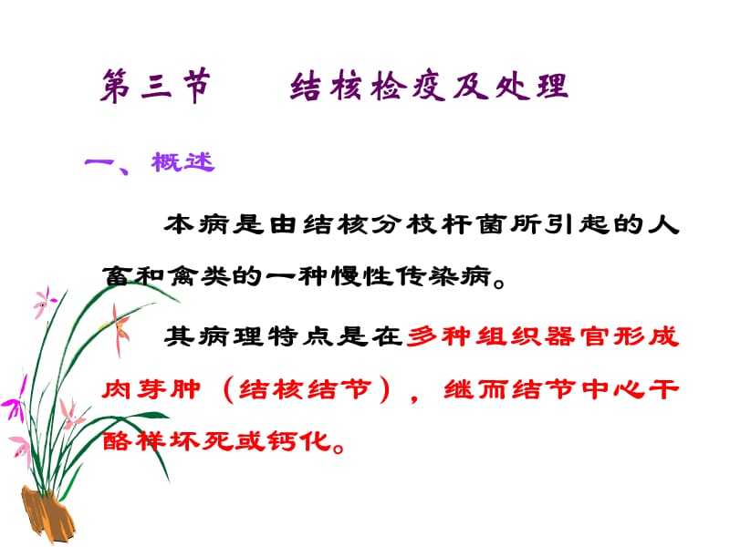 第三节结核检疫.ppt_第2页