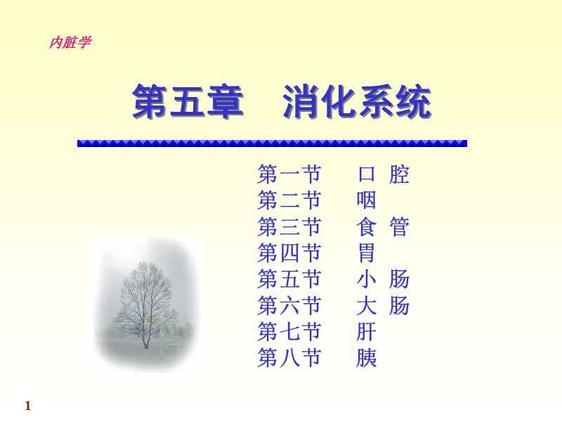 内脏学——消化系统.ppt_第1页