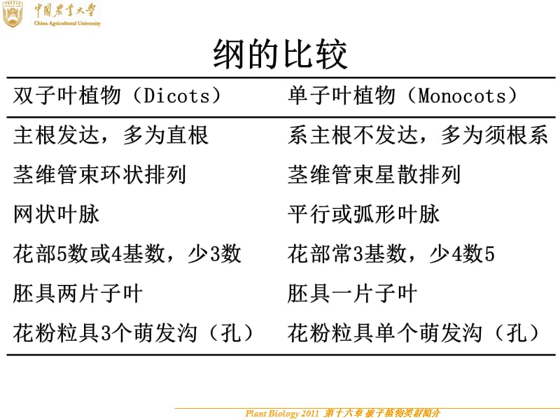 第十六章被子植物主要类群简介一.ppt_第2页