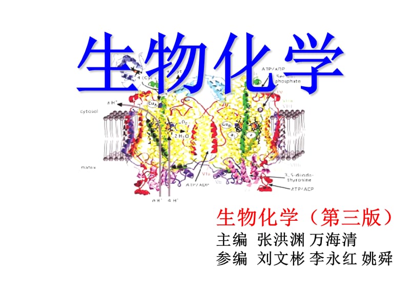 第五章核酸化学.ppt_第1页