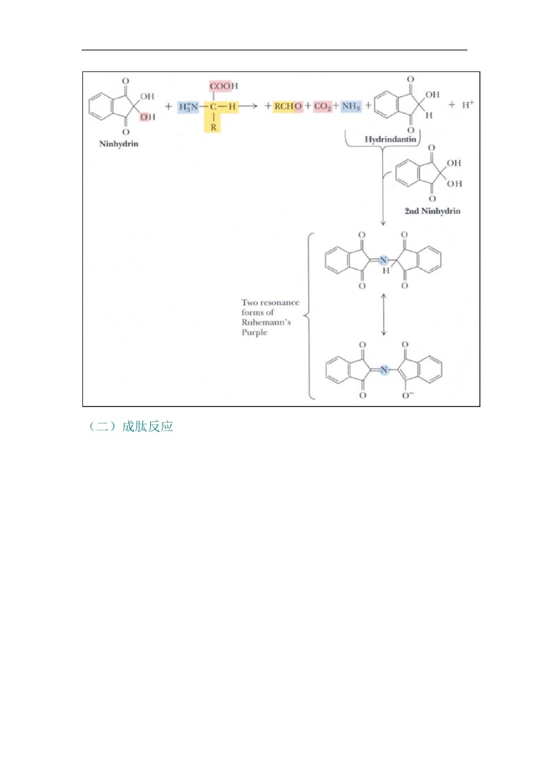 第3章氨基酸下.doc_第3页