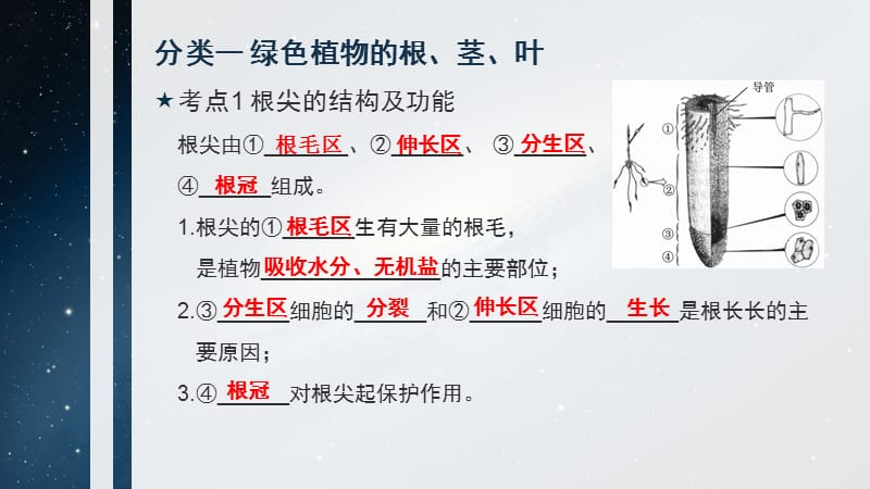 浙教版科学2015年中考复习《中考拐点》第5课时植物的新陈代谢ppt课件.ppt_第2页