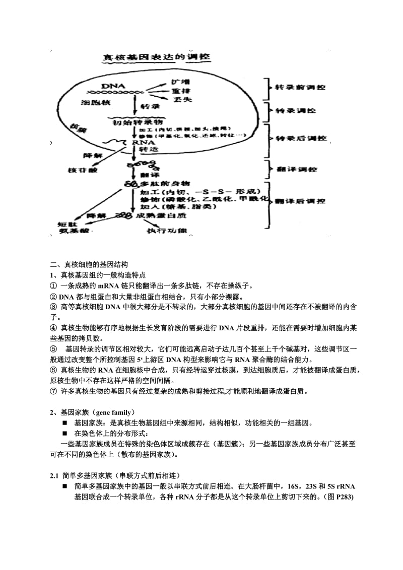 第八章真核基因的表达调控.doc_第2页