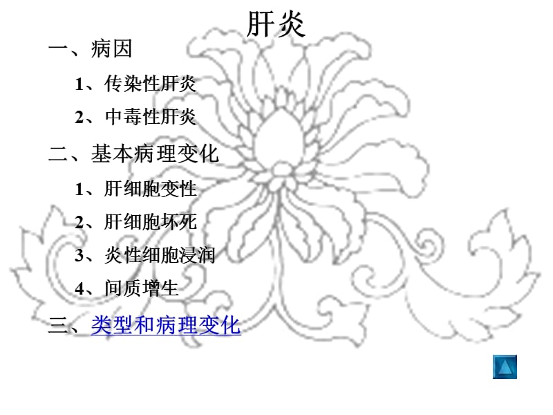 肝胆系统病理.ppt_第2页