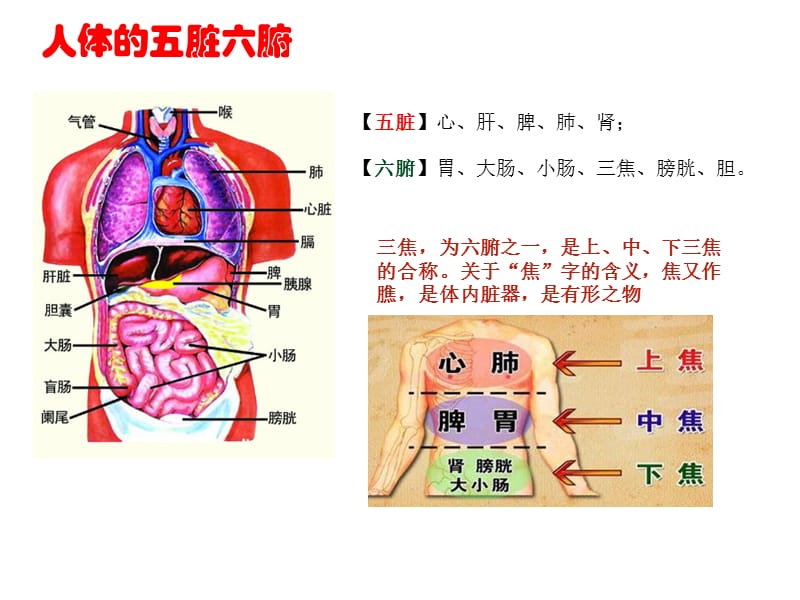 如何关爱中老年健康ppt课件.ppt_第2页