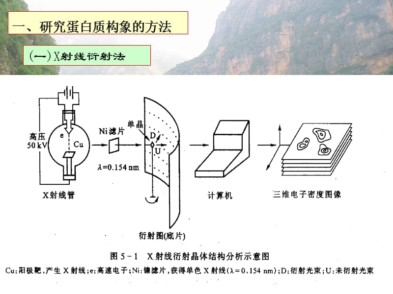 第五章蛋白质的三维结构.ppt_第2页